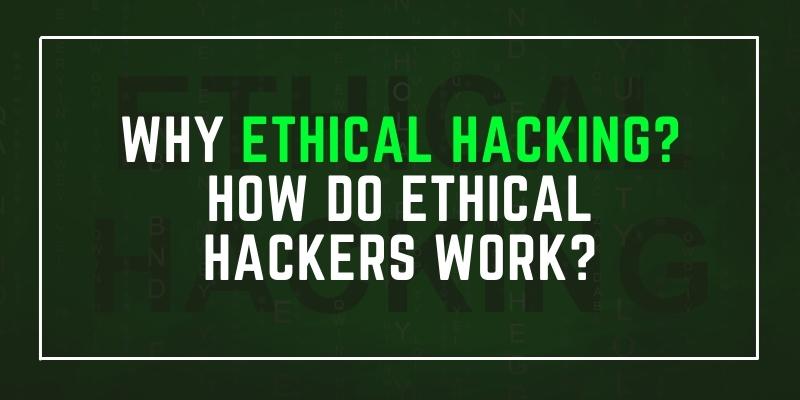 why-ethical-hacking-how-do-ethical-hackers-work